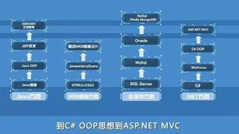 北大青鸟ACCP软件工程师重磅升级，助力网络技术服务新纪元